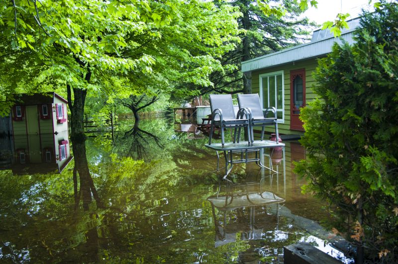 Increase Your Lawn Clean Up Service Business with an AI Driven, Targeted Website