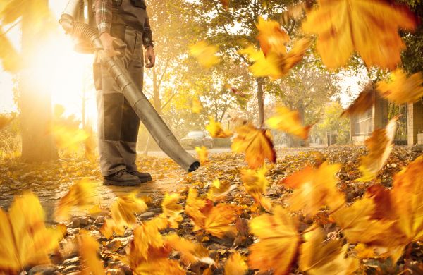 Leaf Blowing Service in Waldorf
