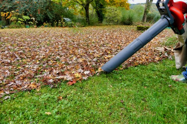 Leaf Vacuuming Service in Waldorf