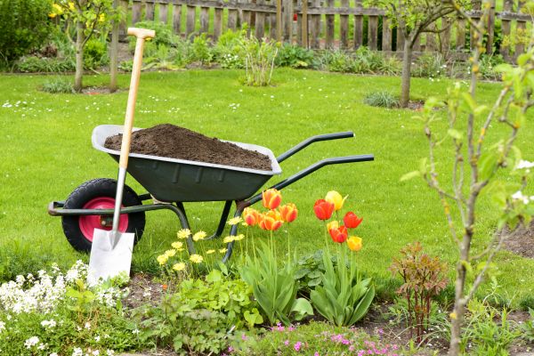 Cost of Spring Yard Cleanup in Waldorf