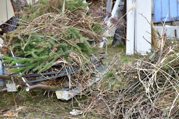 Yard Waste Removal Service in Waldorf