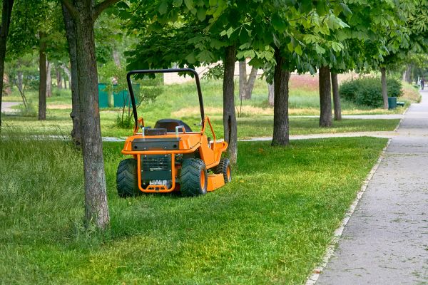 Cost of Landscaping Cleanup Service in Waldorf