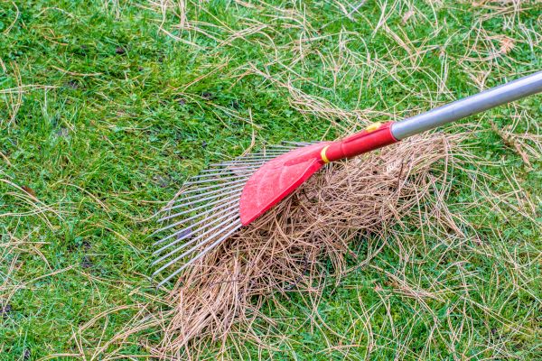 Yard Raking in Waldorf
