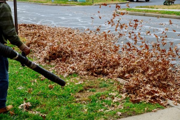 Cost of Garden Leaf Removal in Waldorf