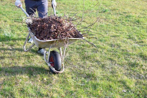 Yard Brush Removal in Waldorf