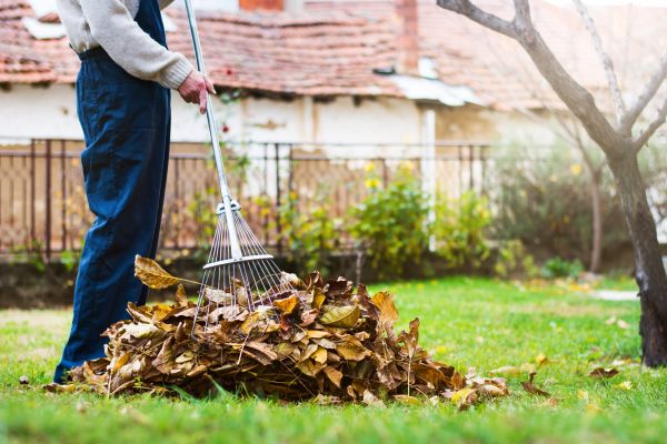 Cost of Fall Yard Cleanup Service in Waldorf