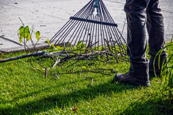 Cost of Yard Debris Cleanup in Waldorf