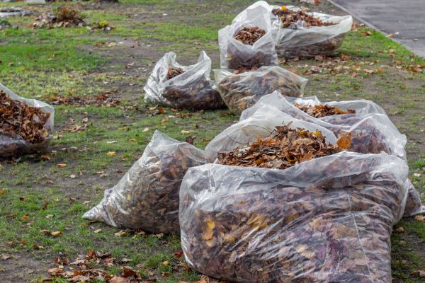 Cost of Leaf Pile Disposal in Waldorf