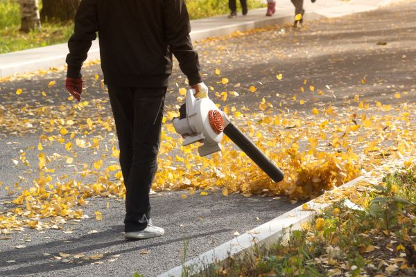 Commercial Leaf Removal in Waldorf