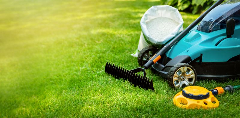 Expert Lawn Preparation