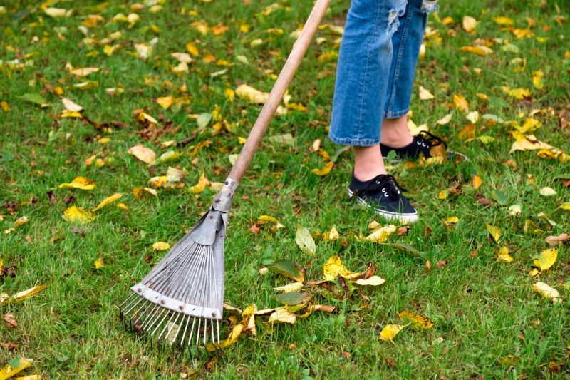 Leaf Raking in Action