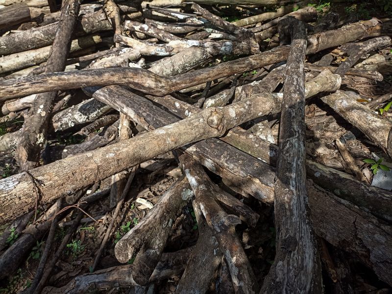 Wood Pile Removal detail