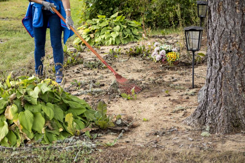 Yard Cleanup Service detail