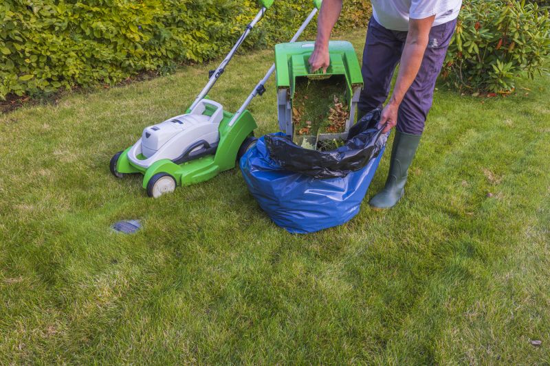 Yard Cleanup Service detail