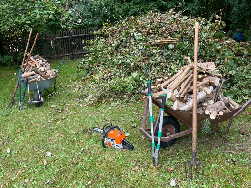 Lawn Debris Removal